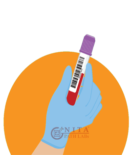 Amenorrhoea Profile